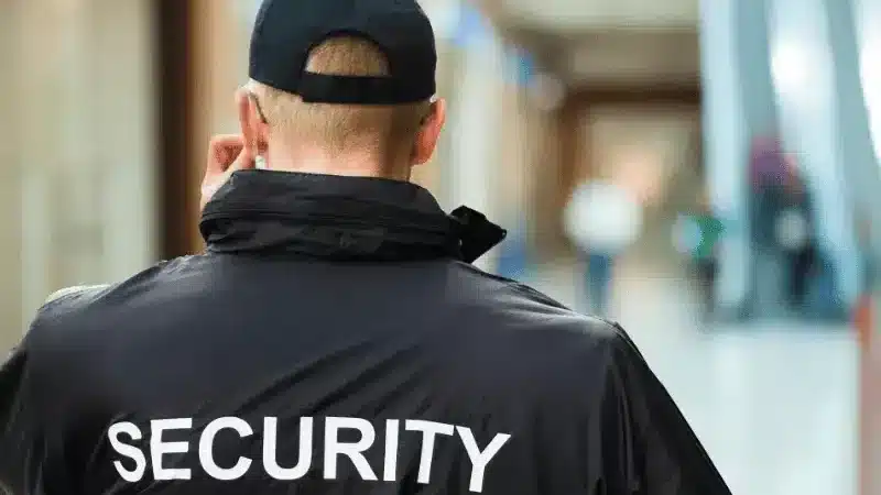 The Role and Importance of Security Professionals in Safeguarding Businesses